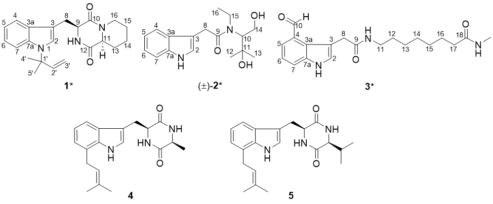 afb630a53dea834accd910321d2bcc41.png