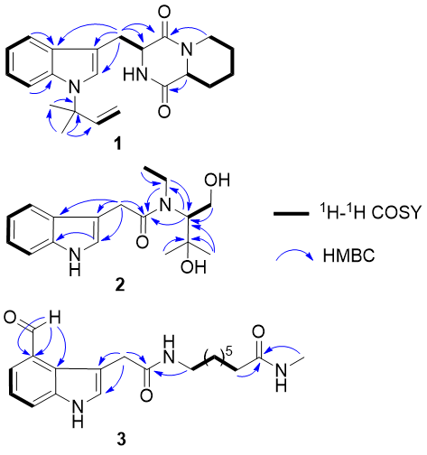 2.png